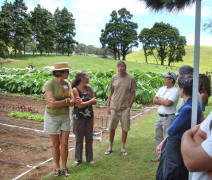 farm